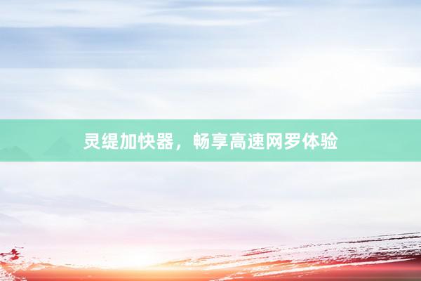 灵缇加快器，畅享高速网罗体验
