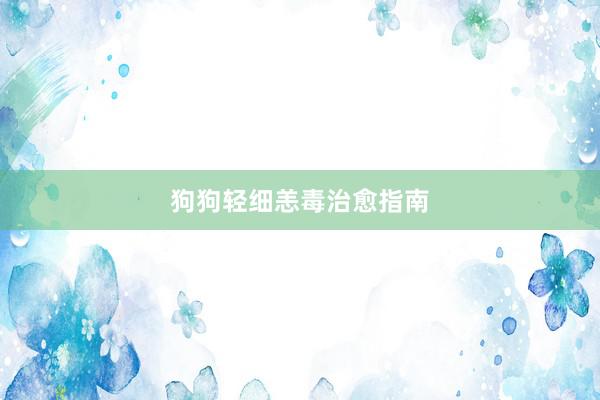 狗狗轻细恙毒治愈指南