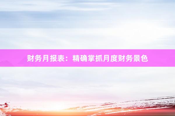财务月报表：精确掌抓月度财务景色